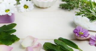 植物療法 植物療法